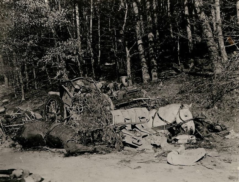 Illustration for article titled These Previously Unseen Photos Bear Witness to the Carnage of World War II